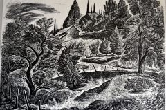 motherlode-landscape