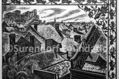 new_orleans_roof_tops_copy