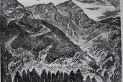 view_from_Queenstown