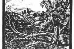 Tree_Asunder