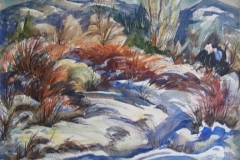 Columbia_Snow